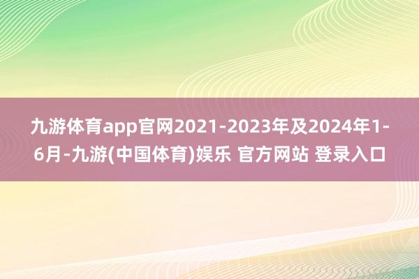 九游体育app官网2021-2023年及2024年1-6月-九游(中国体育)娱乐 官方网站 登录入口