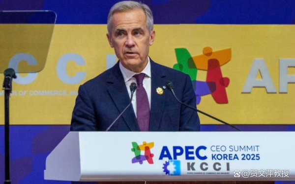 九游体育娱乐网就成了加拿大的“没顶之灾”-九游(中国体育)娱乐 官方网站 登录入口